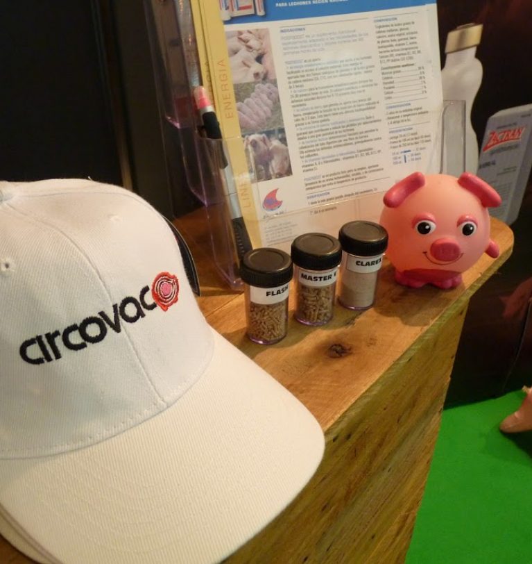 Congreso Porcino 2018 ( Hotel Mykonos – Santiago )