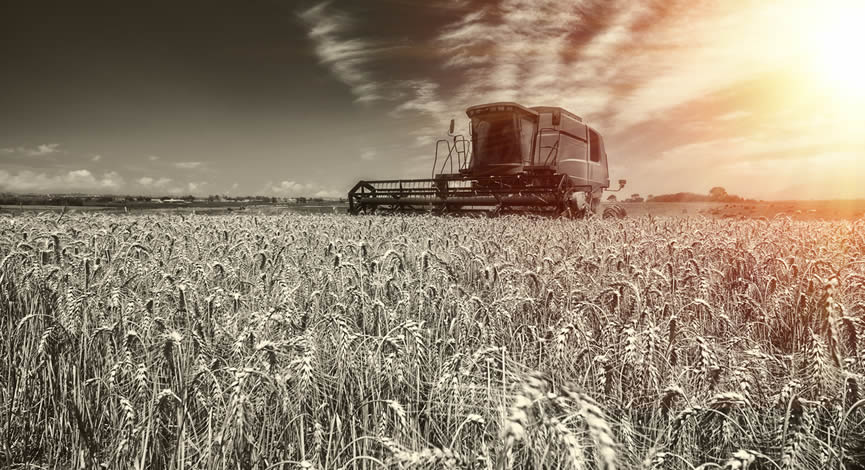 Genetica Panama Agricola