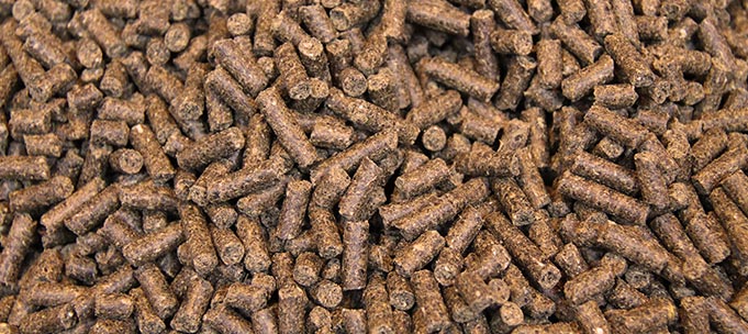 nutricion-animal-piensos2.jpg